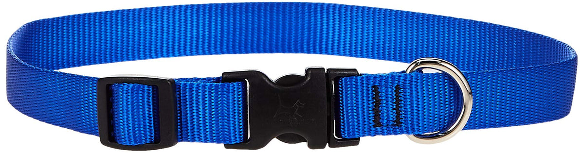 Lupinepet Basics 3/4' Blue 13-22' Adjustable Collar For Medium And Larger Dogs