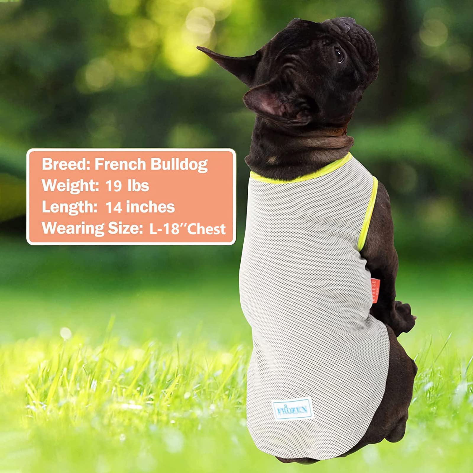 Kyeese 2 Pack Dog Cooling Shirts - Breathable Instant Cooling Vests, Lightweight For Summer Dog Apparel, Blue+Grey, Xx-Large