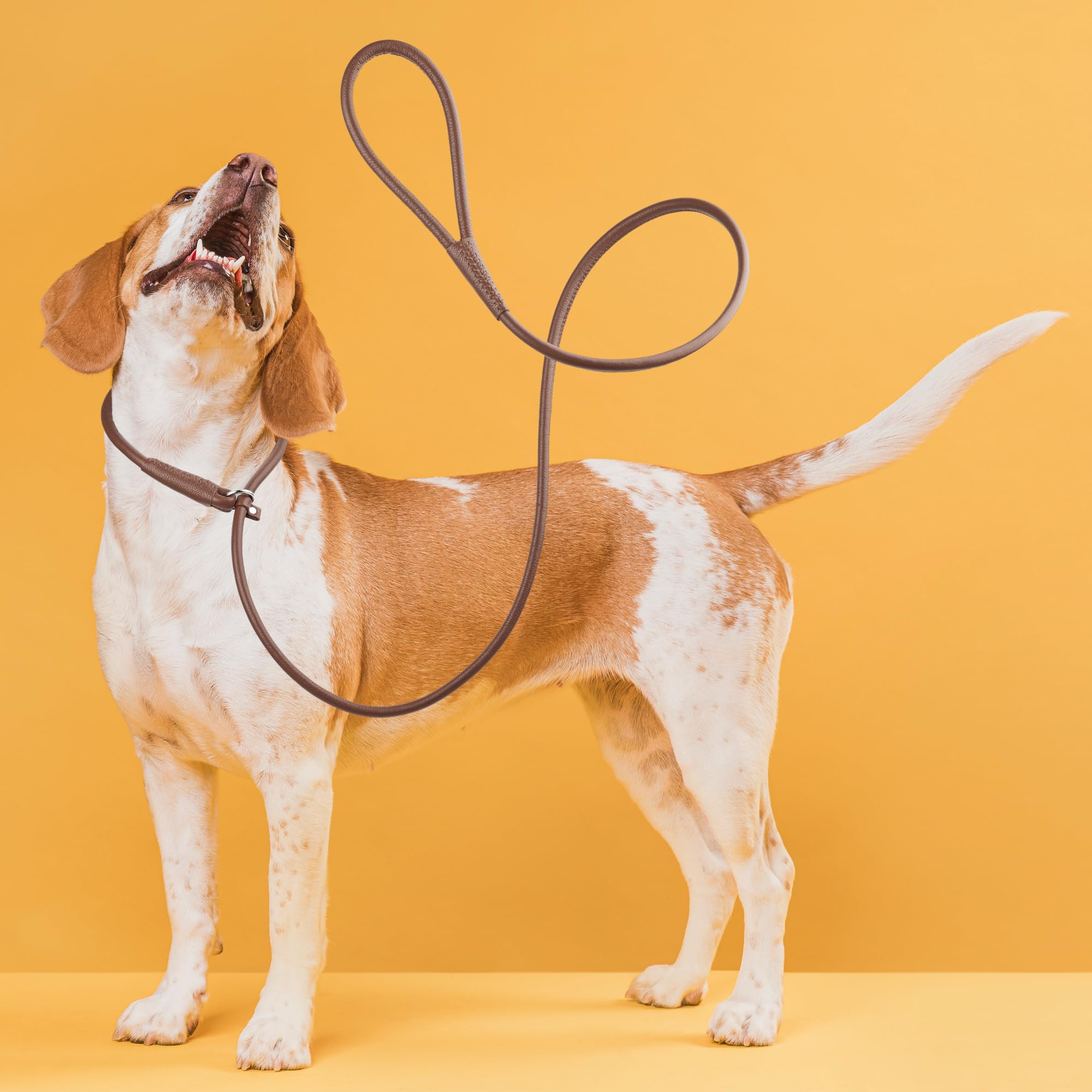Dogline Rolled Leather Dog Slip Lead - For Small, Medium And Large Breeds - Soft And Padded Lead Luxury Design - Brown - 1/4In W X 6Ft L