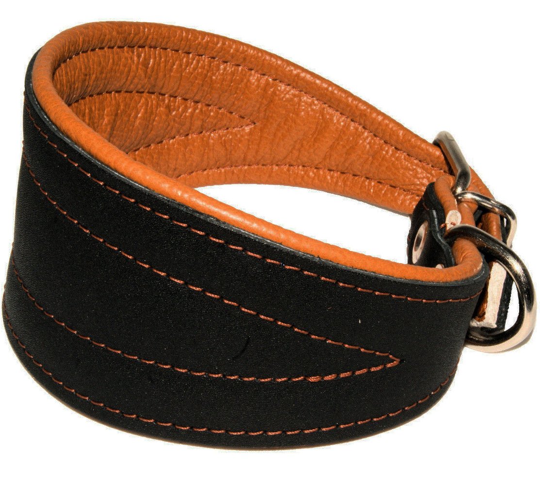 Real Leather Extra Wide Padded Tapered Dog Collar Glossy Black Greyhound Saluki Deerhound Lurcher Whippet Dachshund (14.25-17