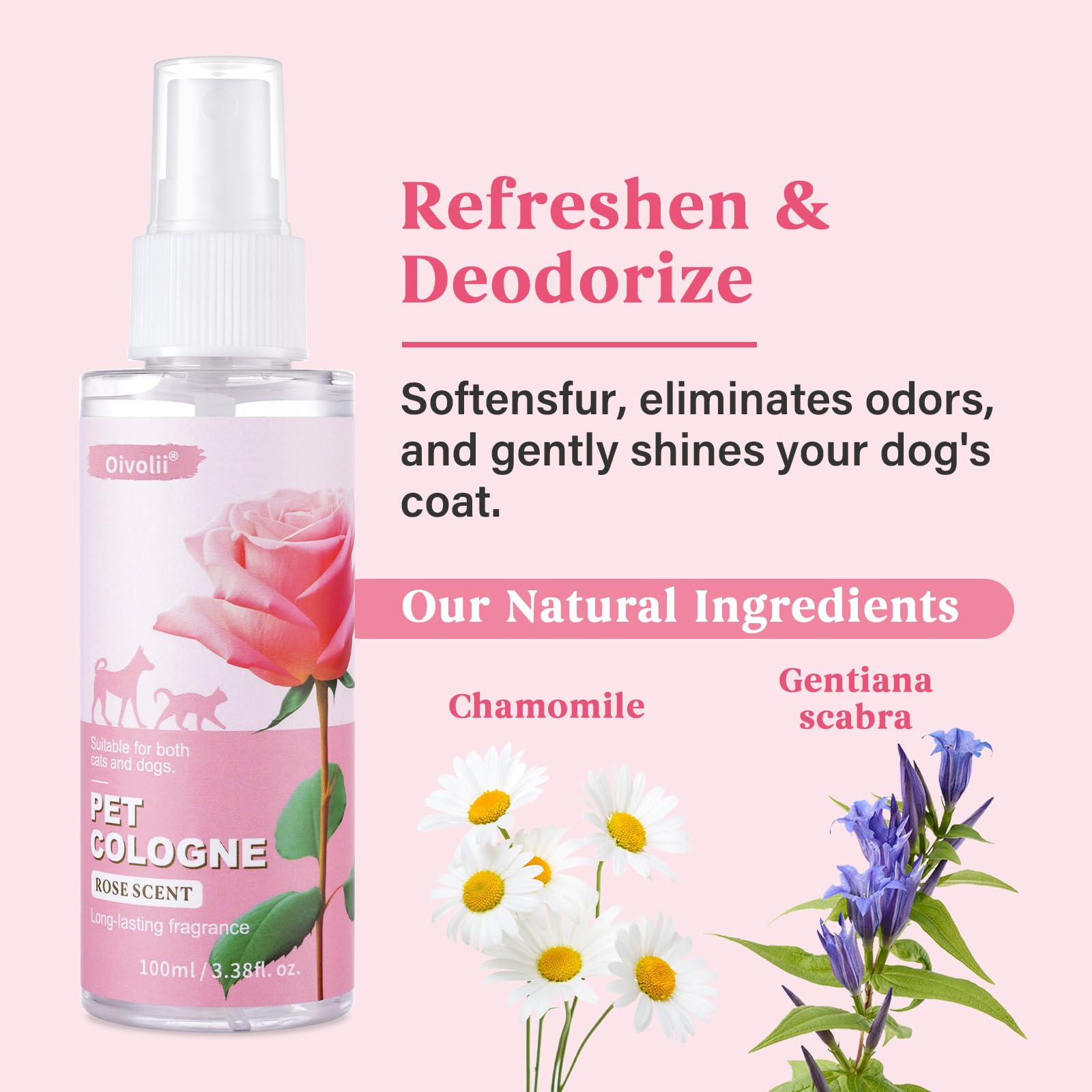 Oivolii Natural Pet Cologne | Perfume For Dogs & Cats Premium Grooming Spray Long-Lasting Rose Scent Deodorizing Conditioning &