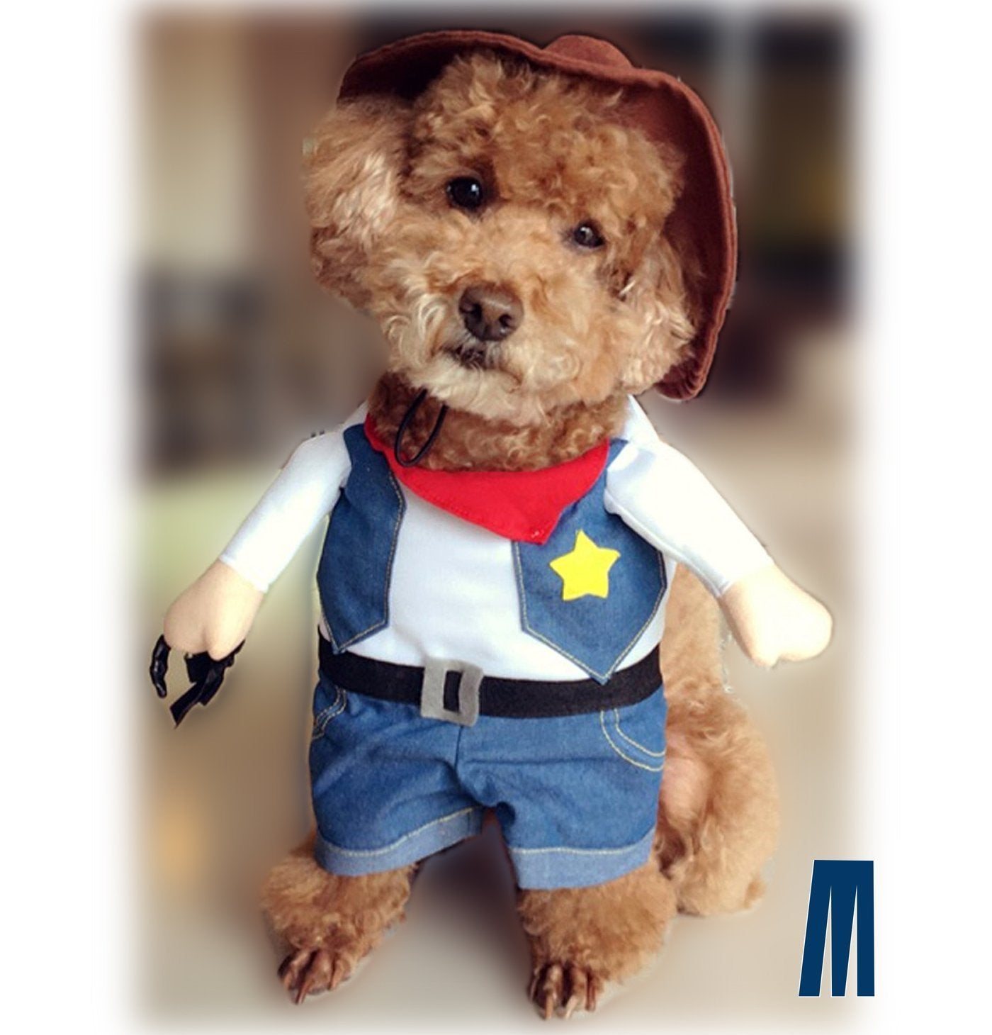 Pet Dog Cat Halloween Costumes,West Cowboy Dog Costumes For Events Party Birthday Christmas Holiday,Funny Pet Cowboy Outfit Clothing For Dog Cat