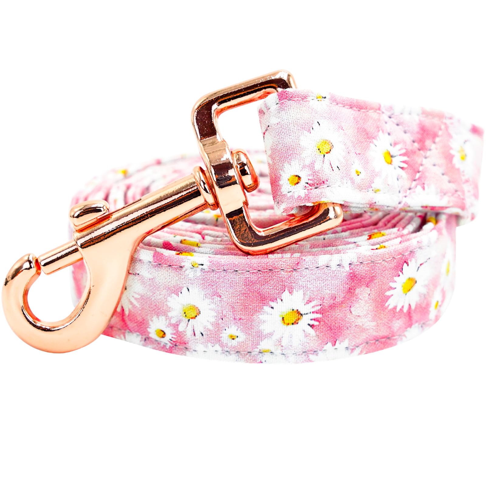 Lionheart Glory Strong Dog Leash, Floral Print Durable Dog Leashes With Soft Handle For Walking Training X-Small Male Or Female 