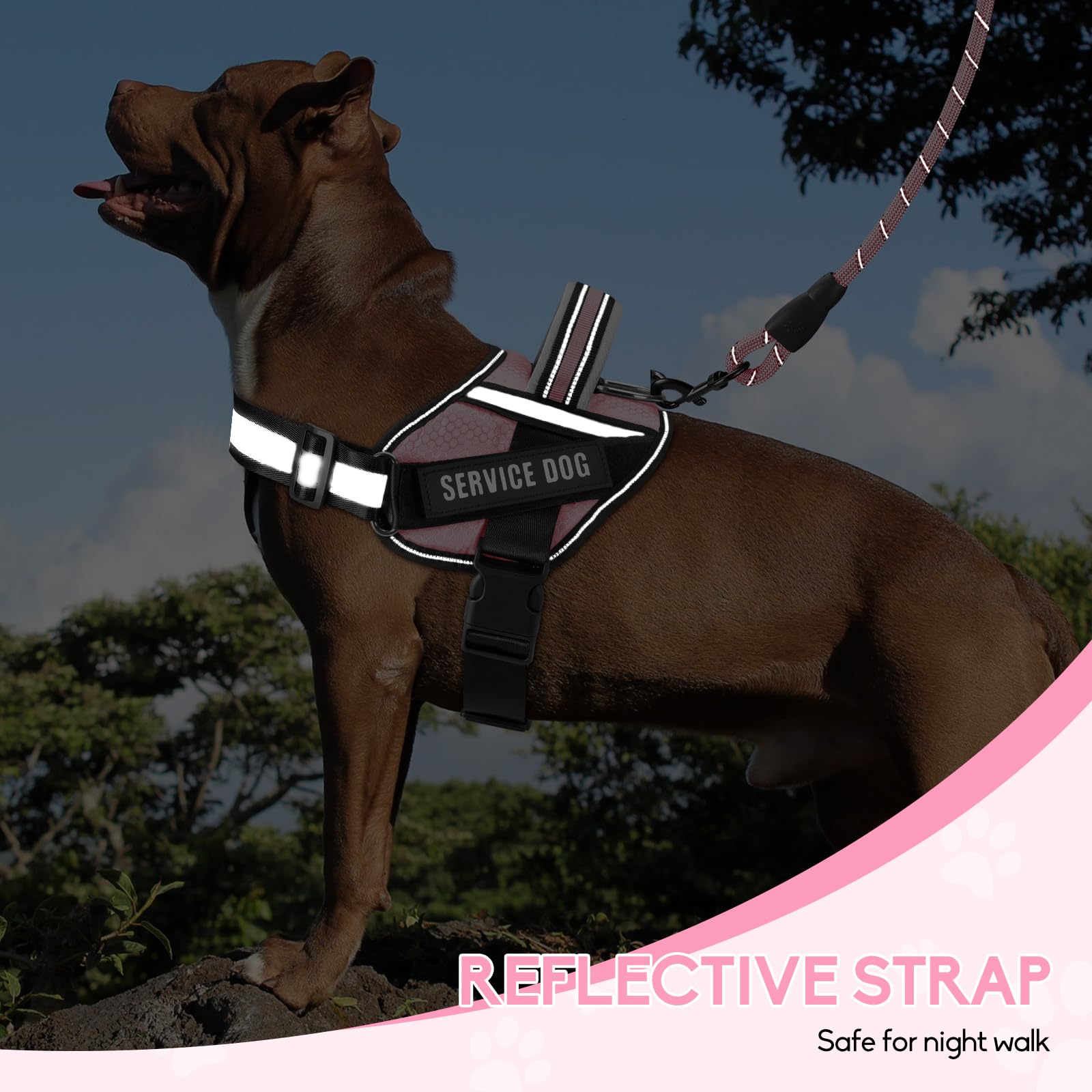 Service Dog Vest Harness And Leash Set, Animire In Training Dog Harness With 8 Dog Patches, Reflective Dog Leash With Soft Padded Handle For Small, Medium, Large, And Extra-Large Dogs