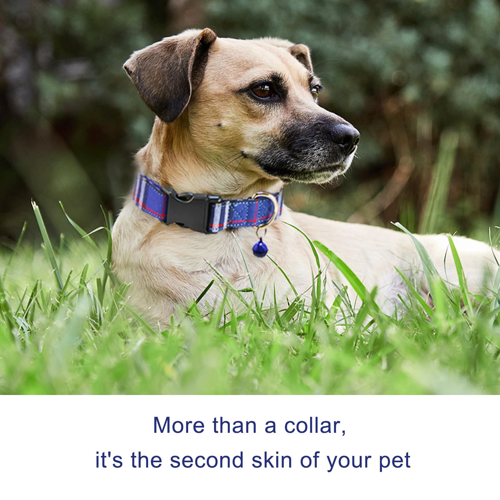 Nisiye Dog Bowtie Collars, Cute Soft Velvet Dog Collar With Bow Tie, Safety Metal Buckle, Adjustable Collars For Boy And Girl Do
