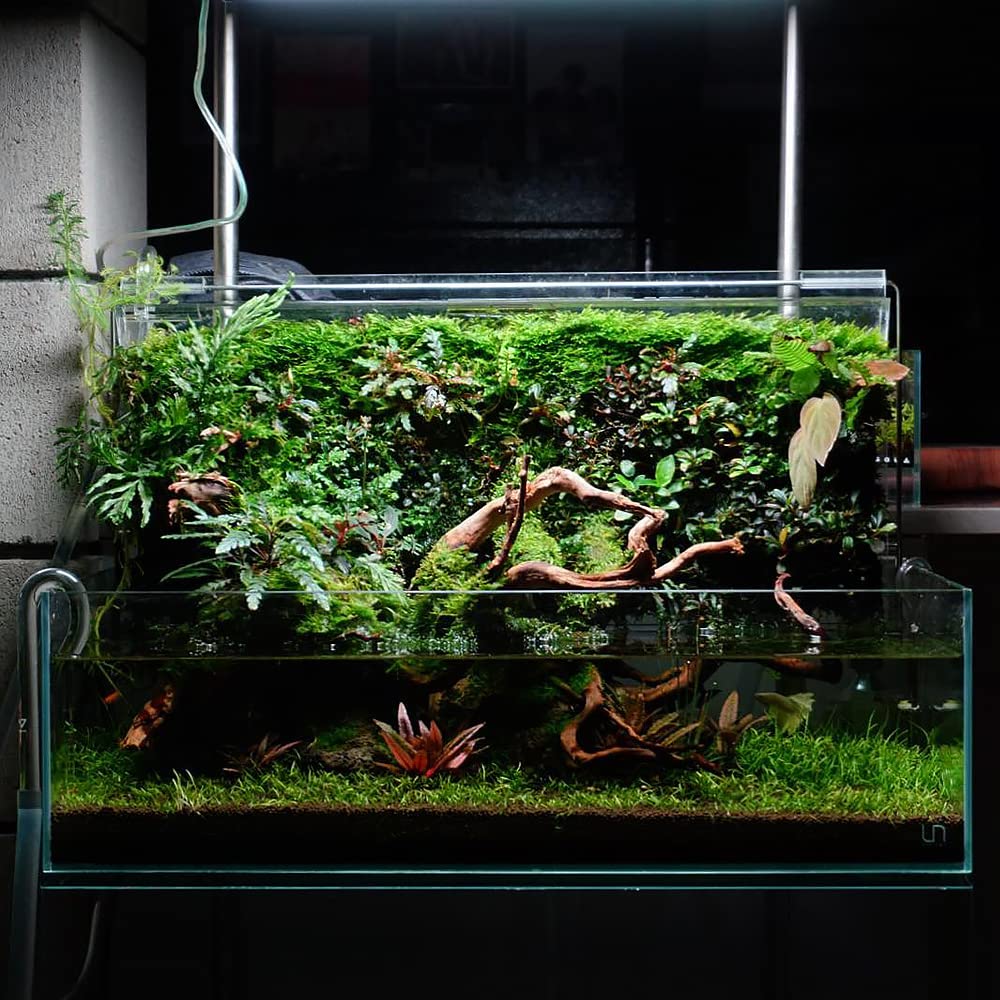 Ultum Nature Systems Controsoil - Freshwater Aqua Soil Substrate for Fish, Shrimp, Live Plant Propagation and Aquascaping - 6.8p