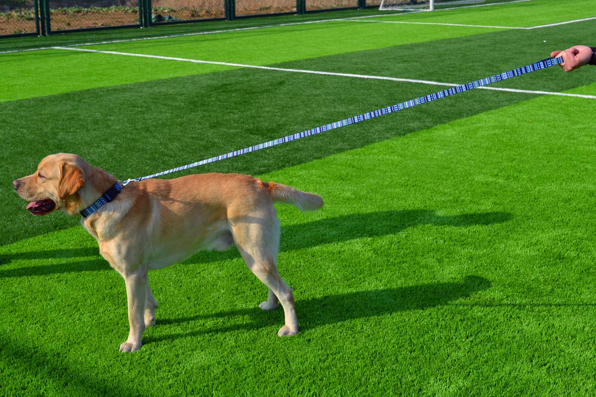 Mihqy Dog Collar And Leash Set With Bohemia Floral Tribal Geometric Patterns - Soft Ethnic Style Collar Adjustable For Small Medium Large Dogs(Bohemian Blue Set,Xs)