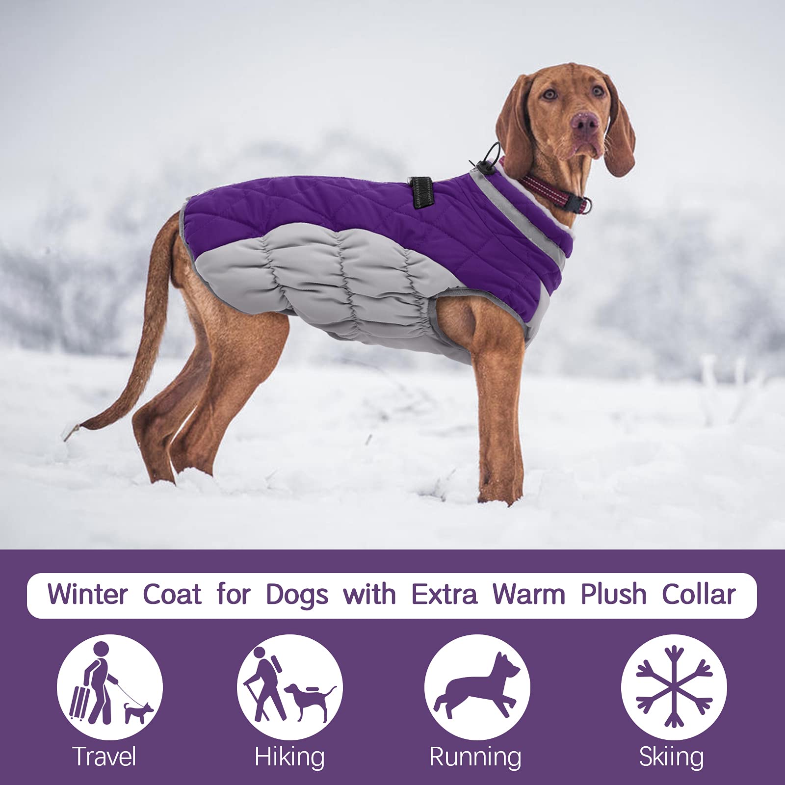 Fuamey Dog Coat - Warm Winter Jacket With Padded Fleece, Reflective, Waterproof & Windproof, Built-In Harness, Purple, Small
