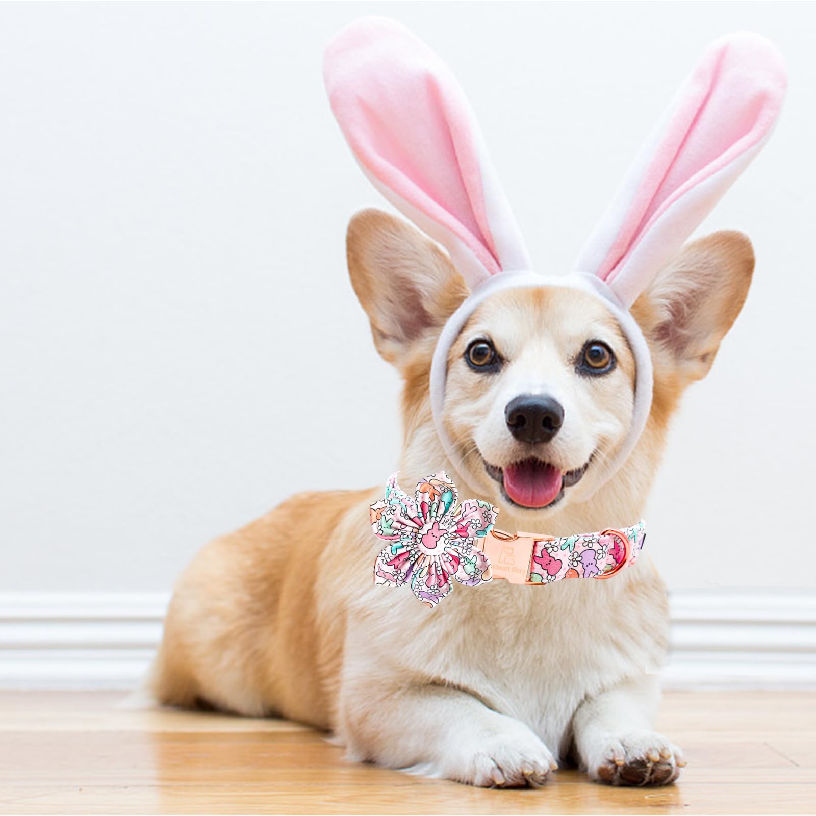 Lionheart Glory Easter Day Dog Collar With Flower Dog Collar For Large Dogs, Rabbits Dog Collars Colorful Dog Collar Spring Coll
