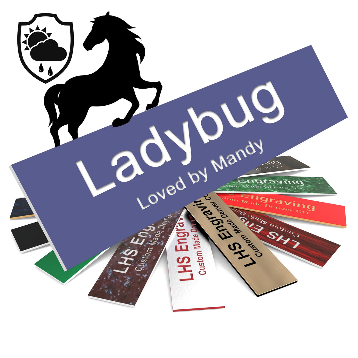 Lhs | Horse Stall Name Plate, 2X10 Personalized Stall Signs, Uv Protected, All Weather Adhesive, Hanging, Mounting Or Other, Pur