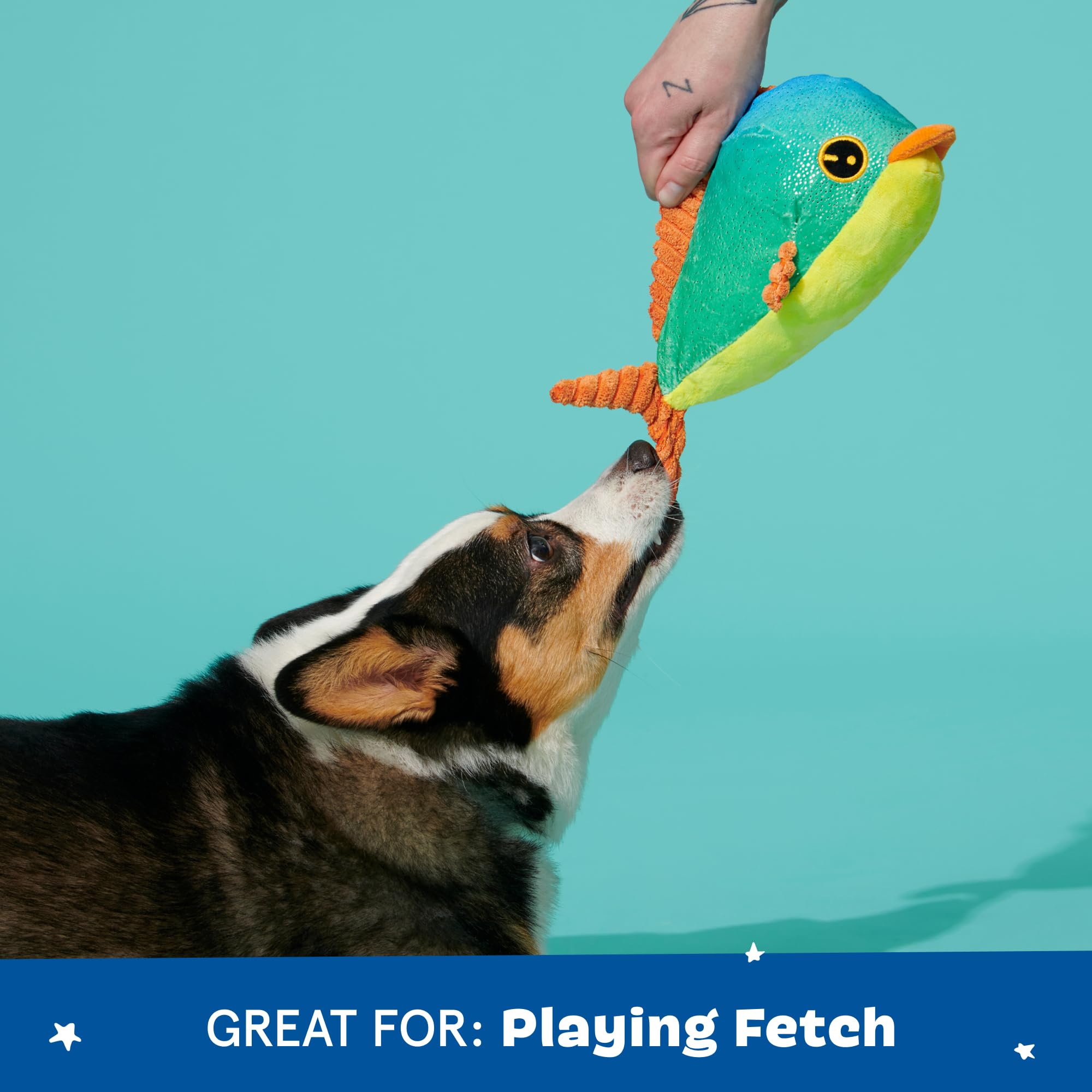 Barkbox Under The Sea Bundle - 3 Toys For Medium And Large Dogs - Squeaky Dog Toy, Tug Toy, Plush Chew Toys - Maggie Mahi, Shify