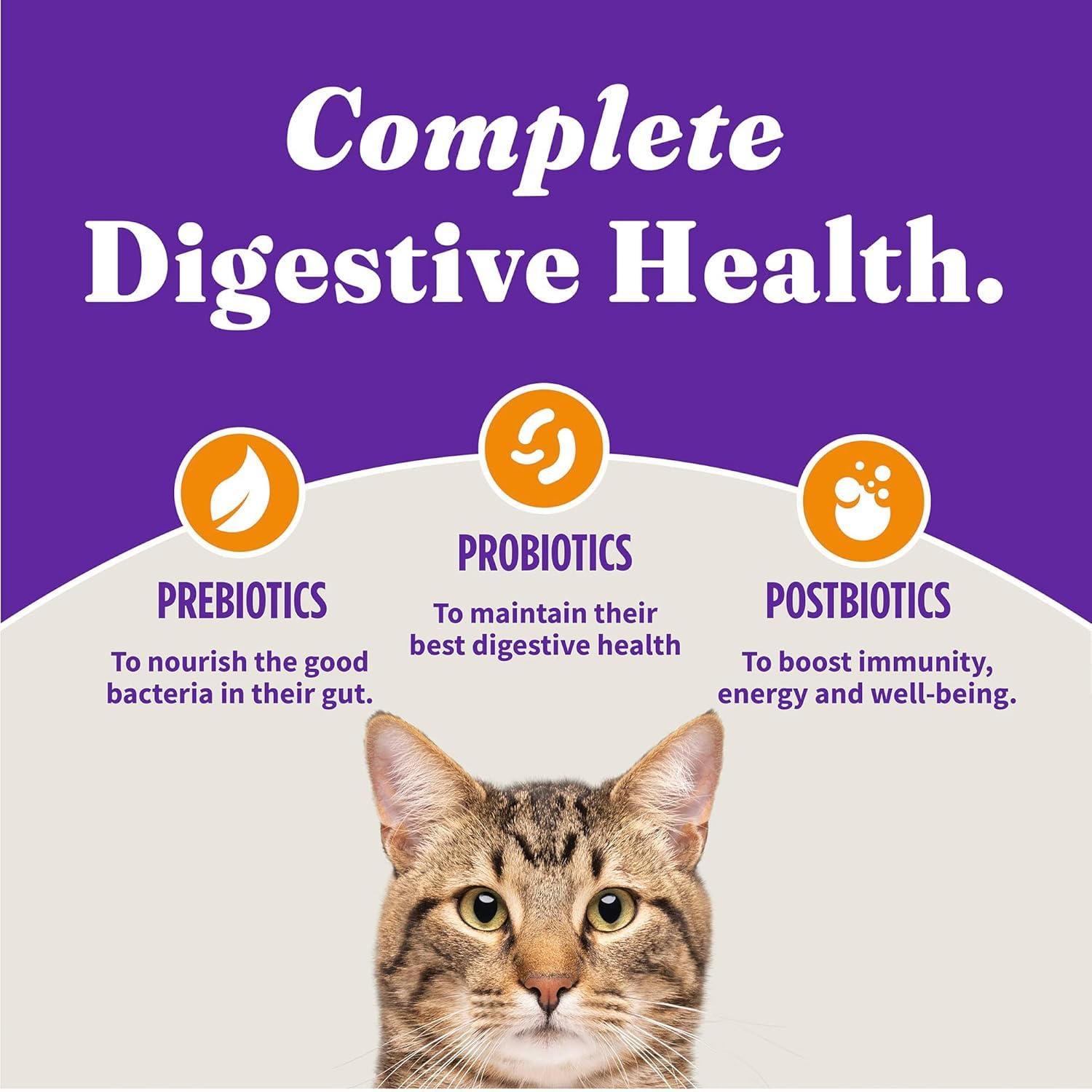 Halo Holistic Cage Free Chicken Cat Food, Healthy Grains Dry Cat Food, Complete Digestive Health, Kibble for Adult Cats, 10 lb B