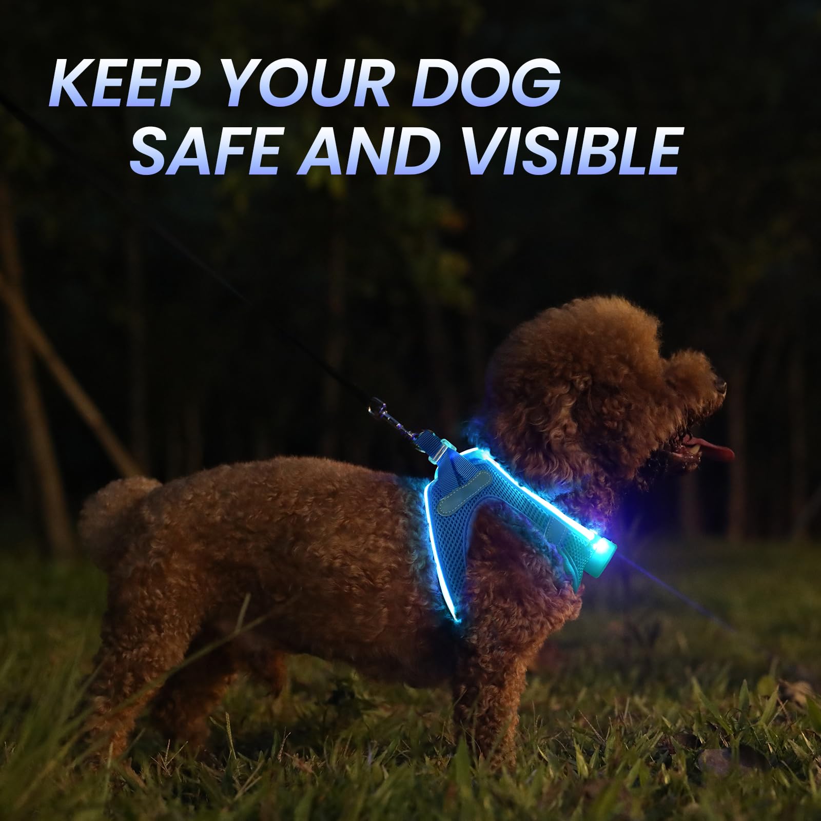 Pceotllar Light Up Dog Harness, Led Dog Harness For Puppy Small Medium Dogs, Rechargeable No Pull Reflective Dog Harness, Flashi