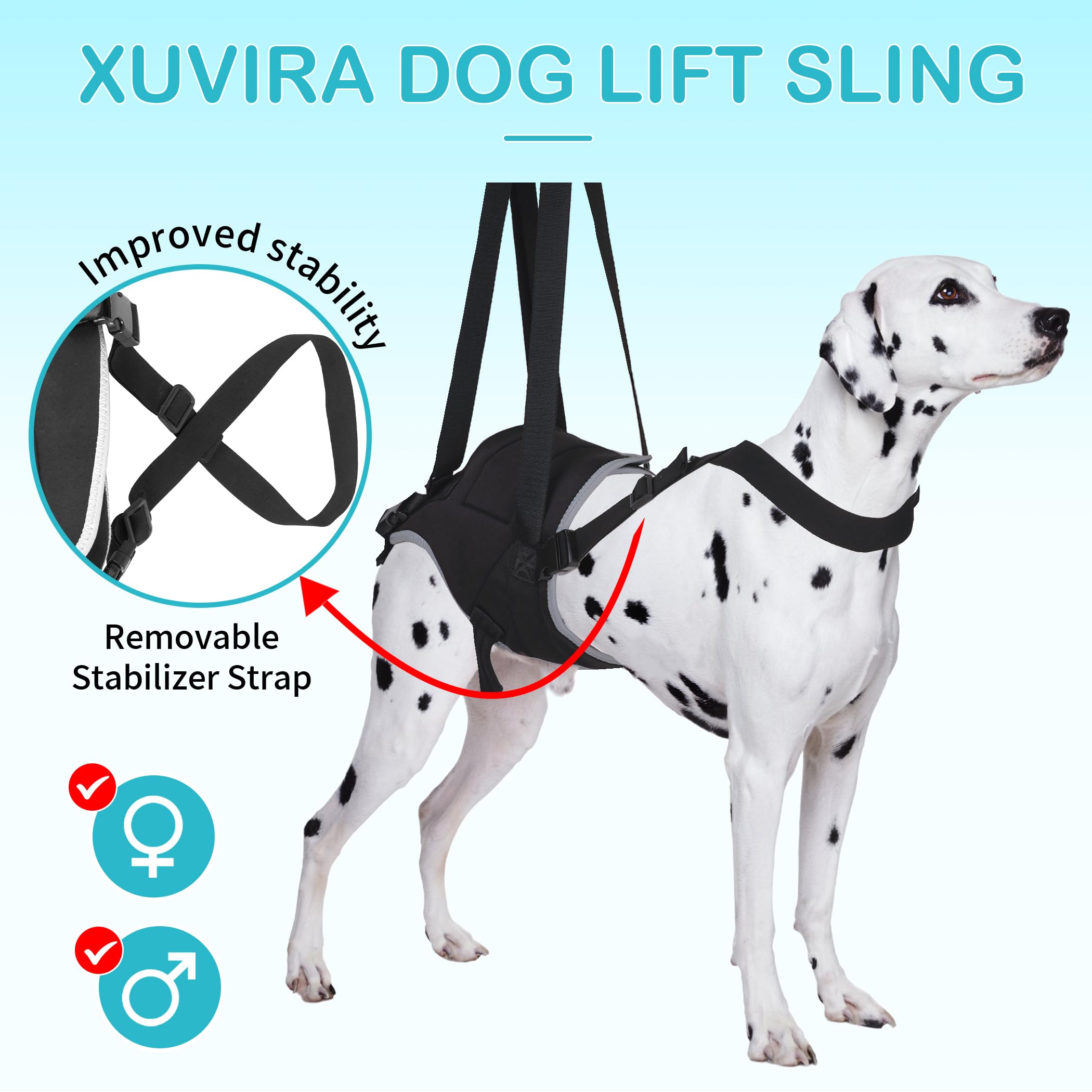 Dog Hip Brace for Joint Pain and Hip Dysplasia, Dogs Hind Leg Lift Harness with Chest Stabilizer Straps, Upgraded Adjustable Ela