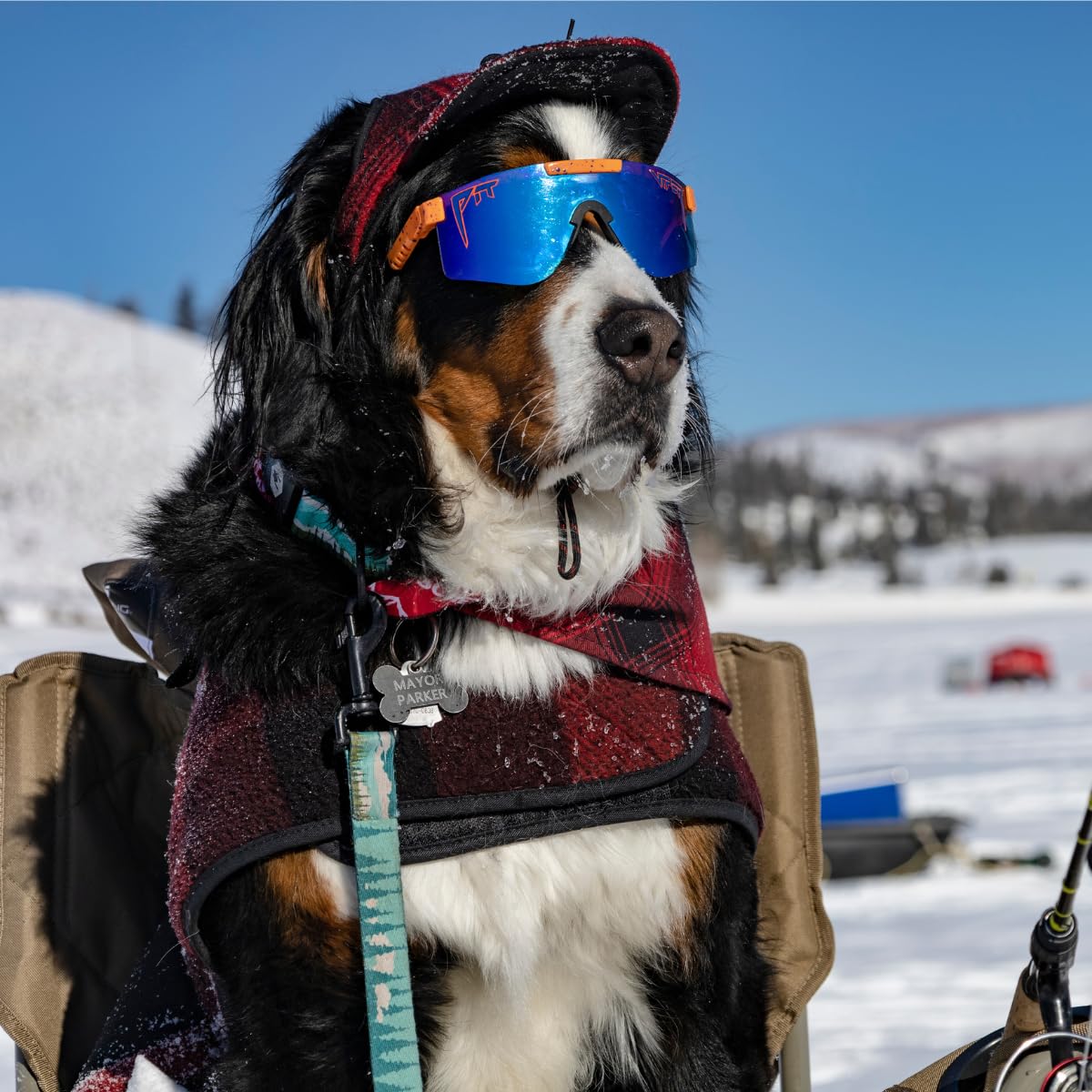 Wolfgang Heavy Duty Martingale Dog Collar With Quick Release Nylon Buckle For Walking & Training, Greatescape Print, Small