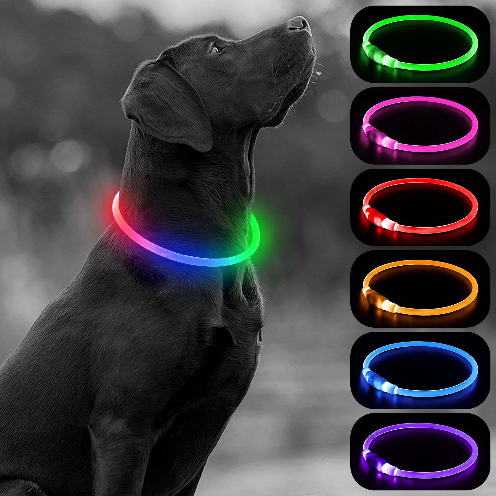 Higo Light Up Dog Collar, Rgb Rechargeable Led Dog Collar, Tpu Dog Collar Light For Night Walking, Cuttable Size, Be Seen At Nig