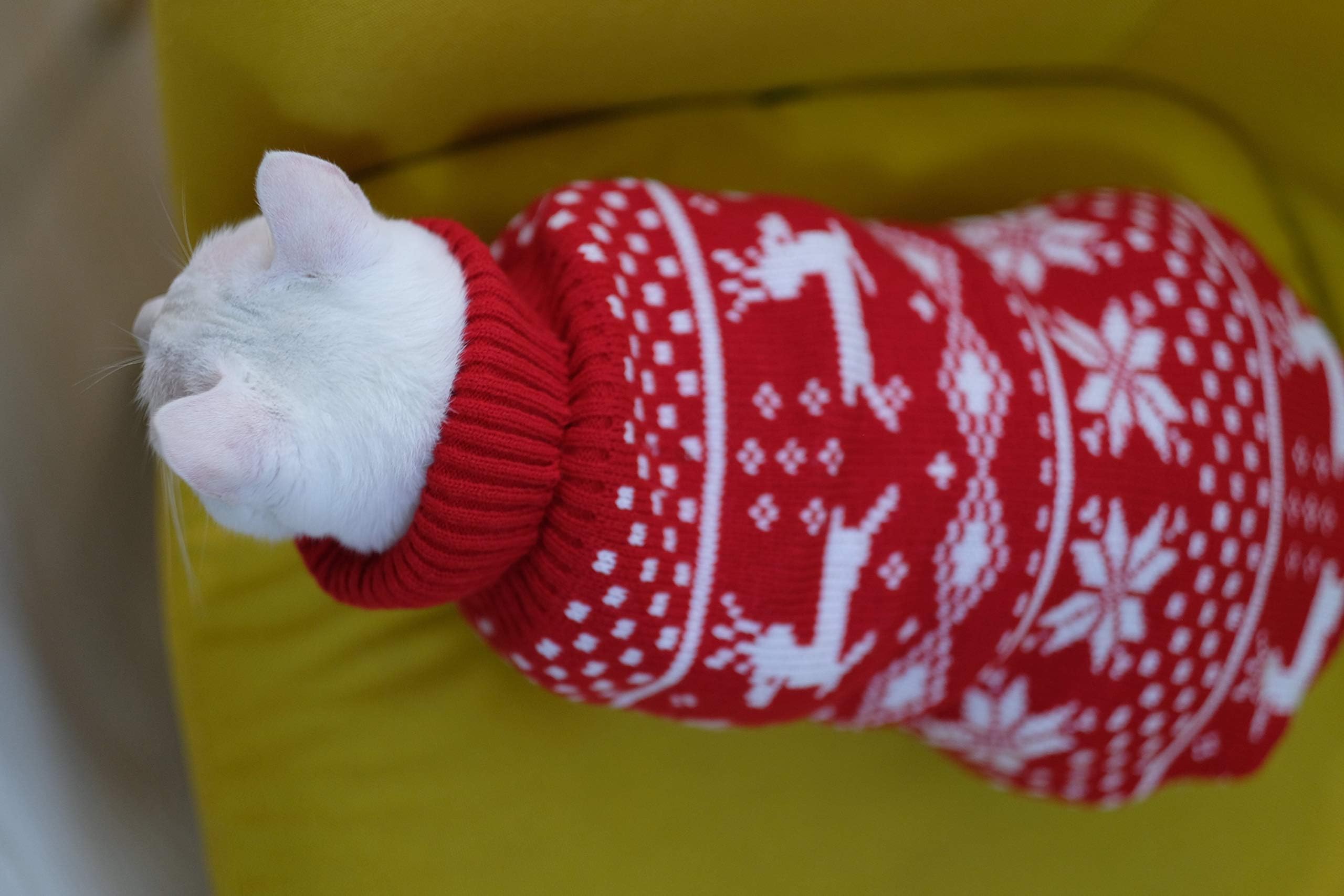 Reindeer Dog Turtleneck Sweater,Puppy Christmas Sweaters For Small Dogs Cat