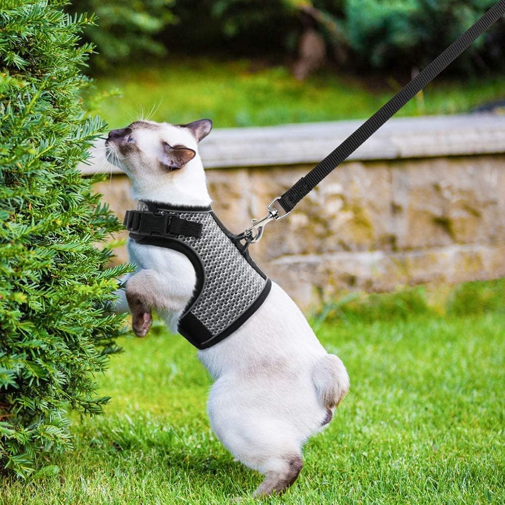 PUPTECK Soft Mesh Cat Vest Harness & Leash Set, Escape Proof, XL Grey, Polyester