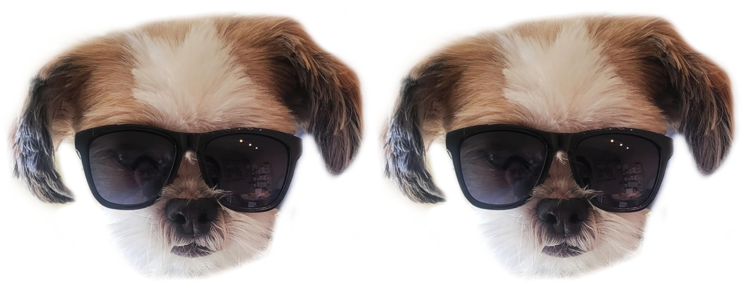 G014 Dog Cat Pet 80S Sunglasses Goggles For Small Breeds Up To 15Lbs (2-Pack Black+Black)