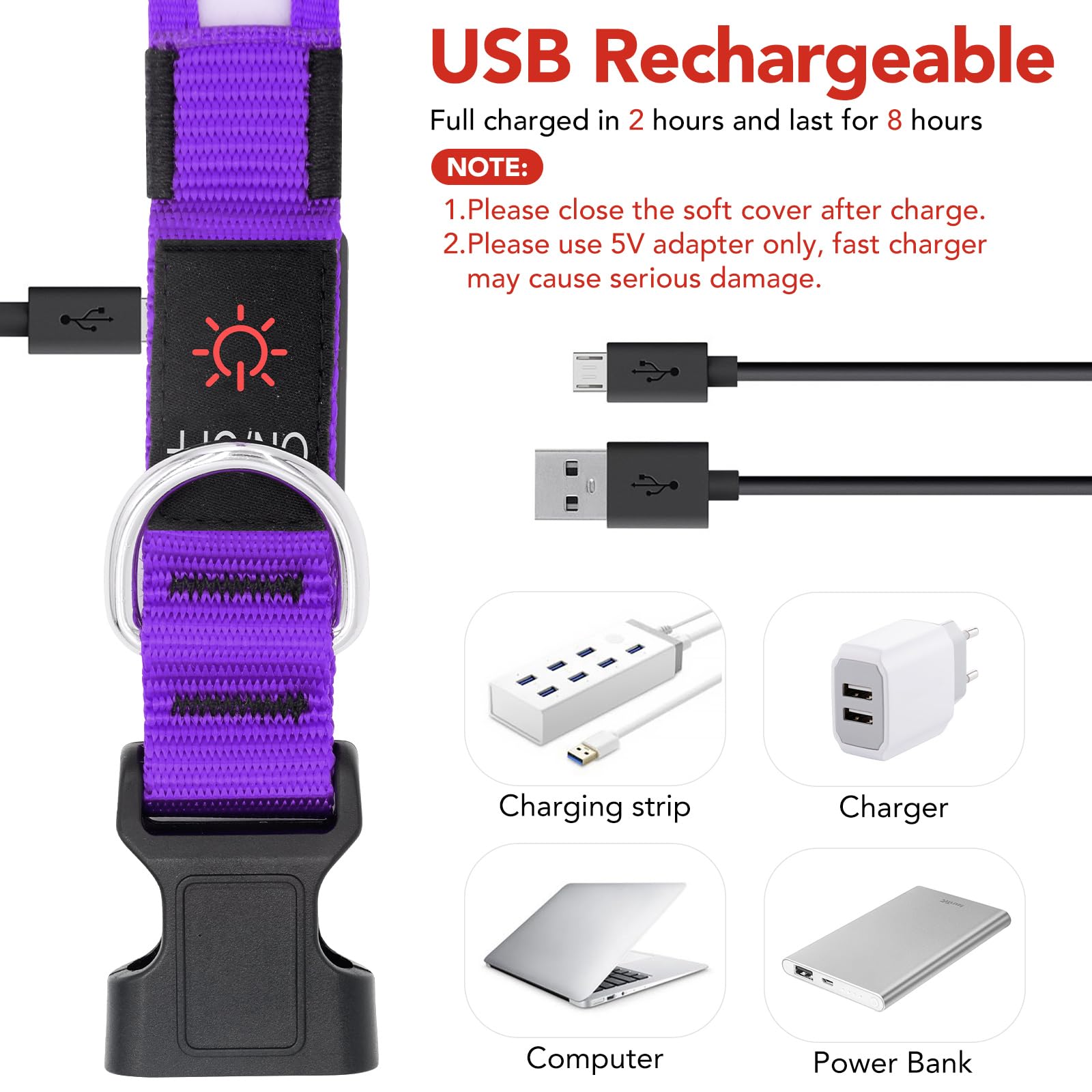 Vizpet Led Dog Collar, Light Up Dog Collar Adjustable Usb Rechargeable Super Bright Safety Light Glowing Collars For Dogs (Purpl