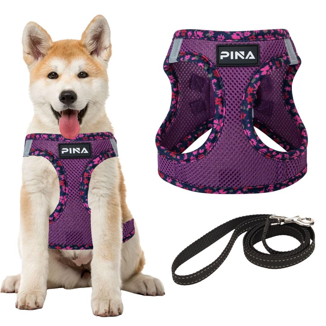 Pina Dog Harness And Leash Set For Small To Medium Dogs - No Pull, No Choke Breathable Mesh Vest - Lightweight, Adjustable, Easy