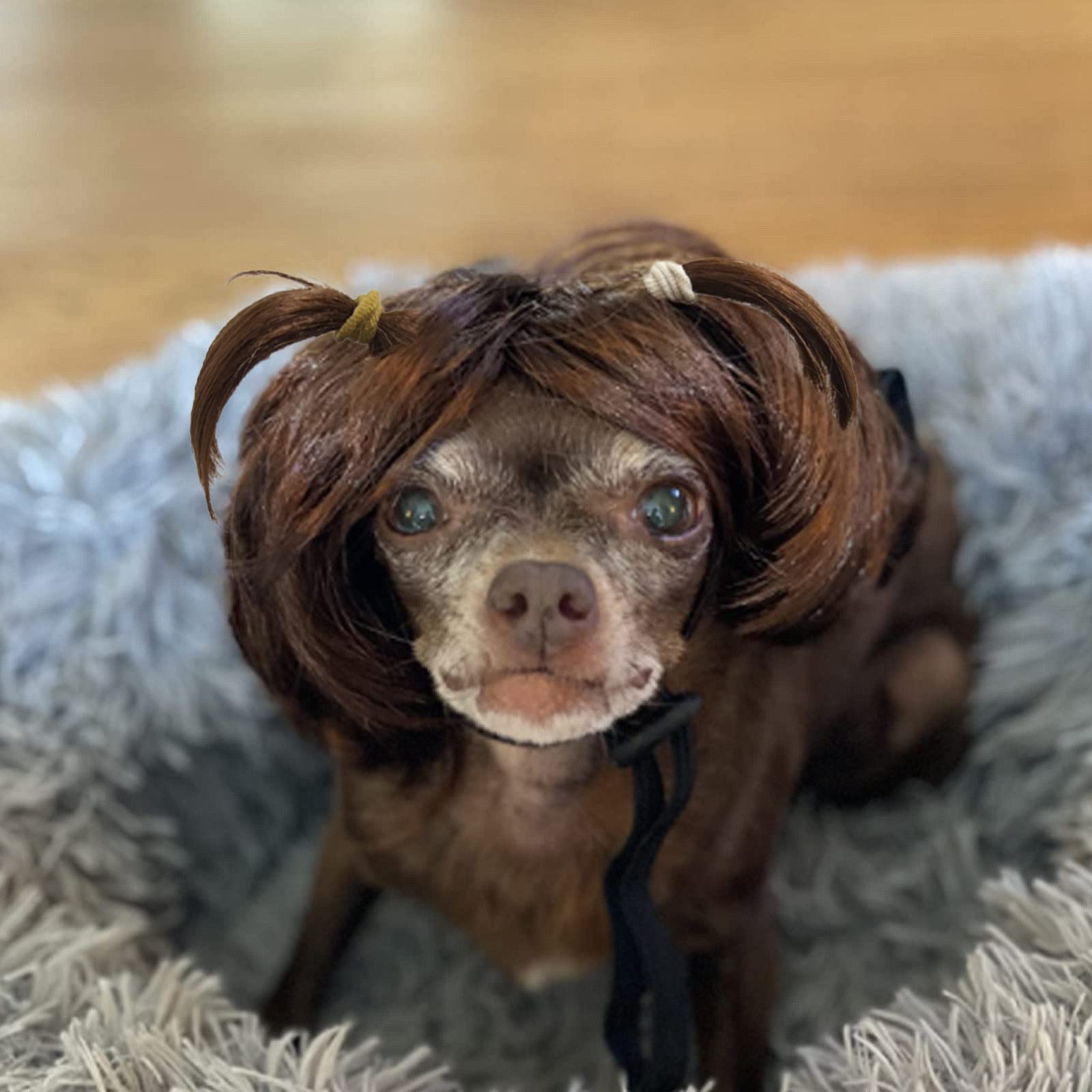 Dog Wig Pet Costumes, Cat Costume Synthetic Accessories Small Dog Headwear For Halloween Christmas Eve Festival Party Decor, Hea