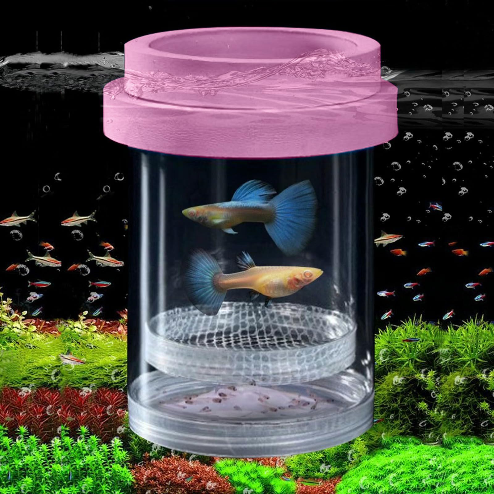 Floating Fish Breeding Isolation Box For Aquarium Tank Plastic Mesh Hatchery Incubator Breeder Box For Baby Fish Betta Shrimp Cl
