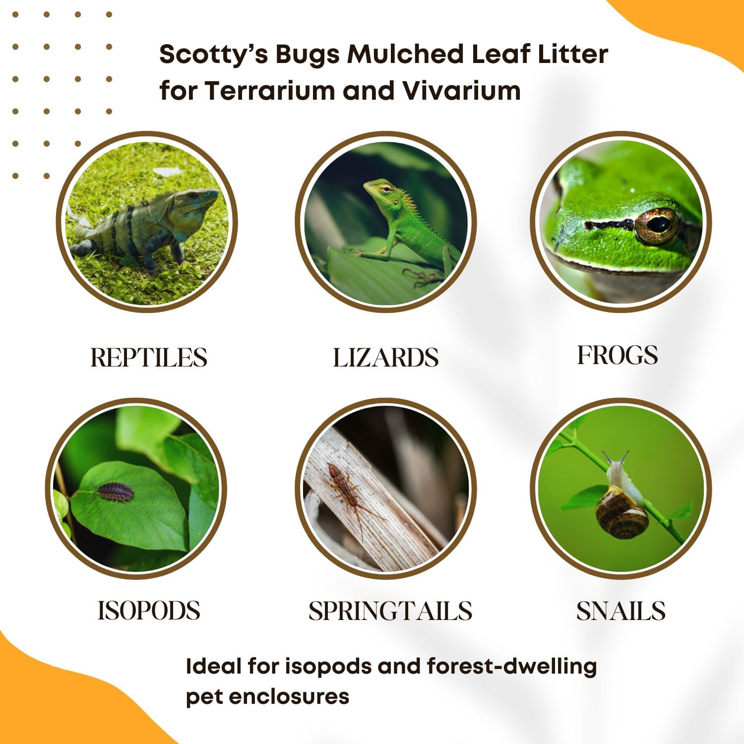 SCOTTY'S BUGS Mulched Leaf Litter for Reptiles, 24oz, Organic Brown Substrate for Isopods & Snails