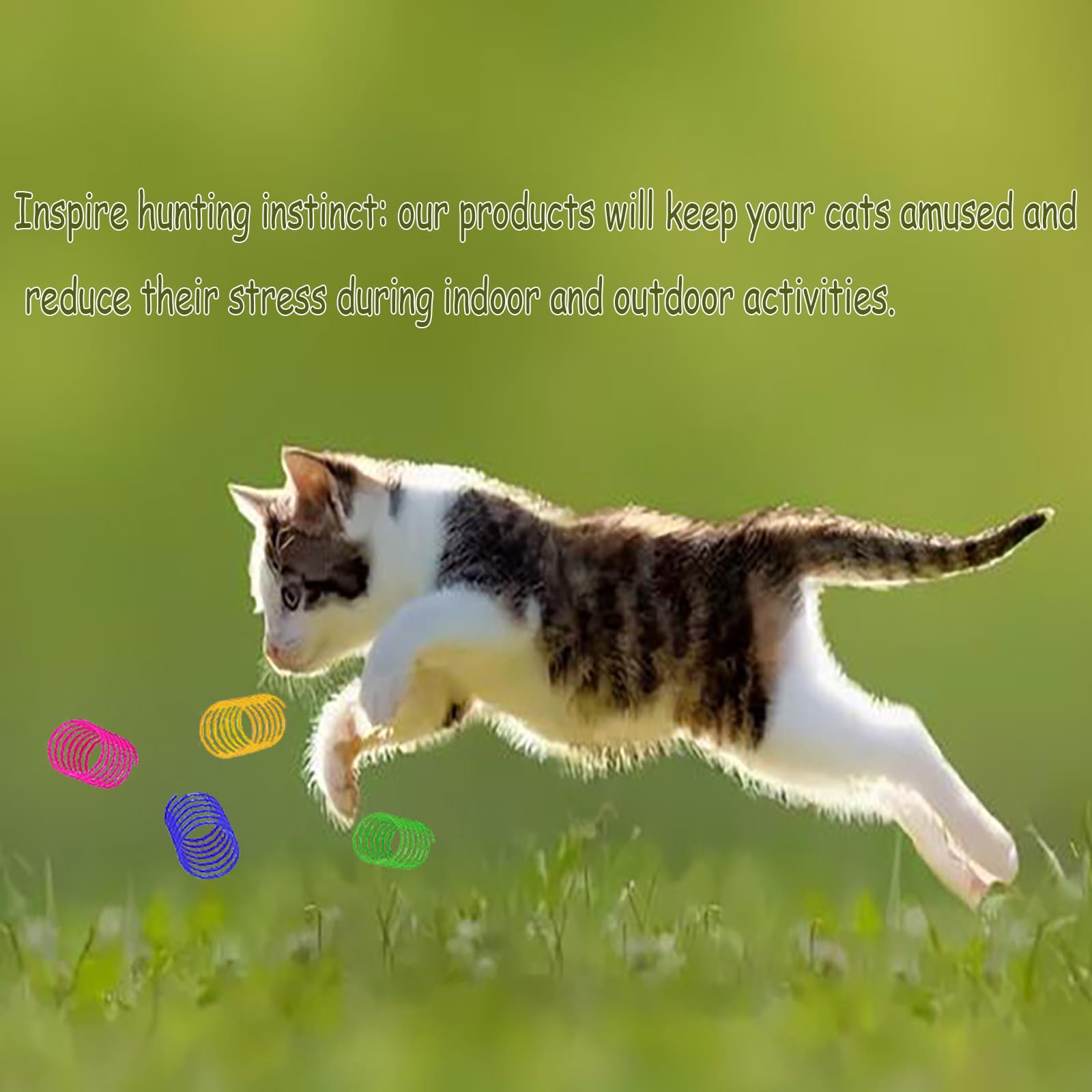 Benepoint Interactive Spring Toys For Cats - Swatting, Hunting, Teeth Grinding - Durable Plastic Coils For Indoor Agility, Fitne