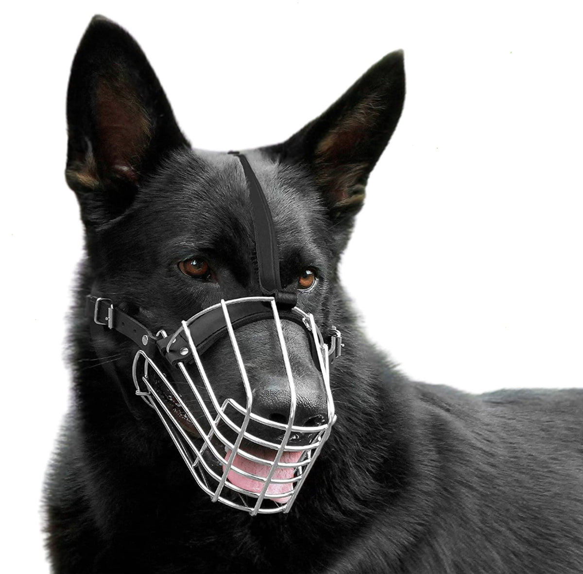 Bronzedog German Shepherd Dog Muzzle Wire Metal Basket Adjustable Leather Muzzle For Large Dogs (Size M)