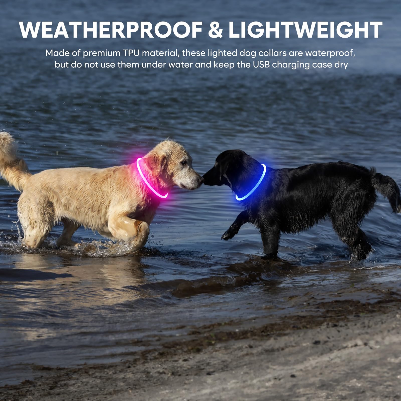 Domagiker Light Up Dog Collar - Waterproof Led Pet Collar Rechargeable, Tpu Cuttable Glow In The Dark Dog Lights For Night Walki