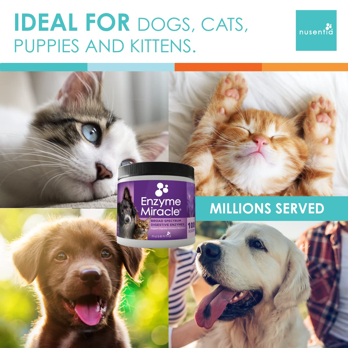 Enzymes for Cats & Dogs : Enzyme Miracle (100 Servings) : for Digestive Stress, Pancreatic Concerns, and Healthy Weight Manageme