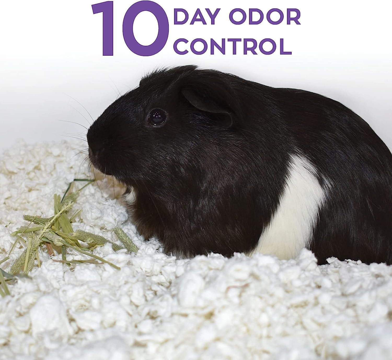 Carefresh 99% Dust-Free White Paper Small Pet Bedding with Odor Control, 50L - Ideal for Small Animals