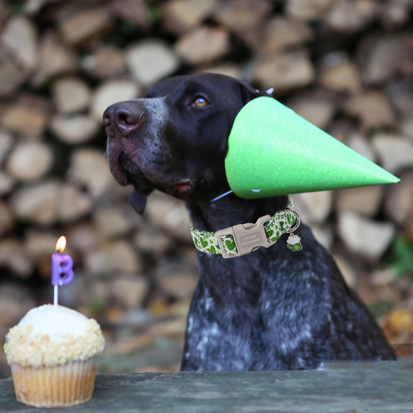 Unique Style Paws St. Patrick'S Day Dog Collar Plastic Buckle Collar With Pendant Green Lucky Magic Hat Gift For Small Medium La