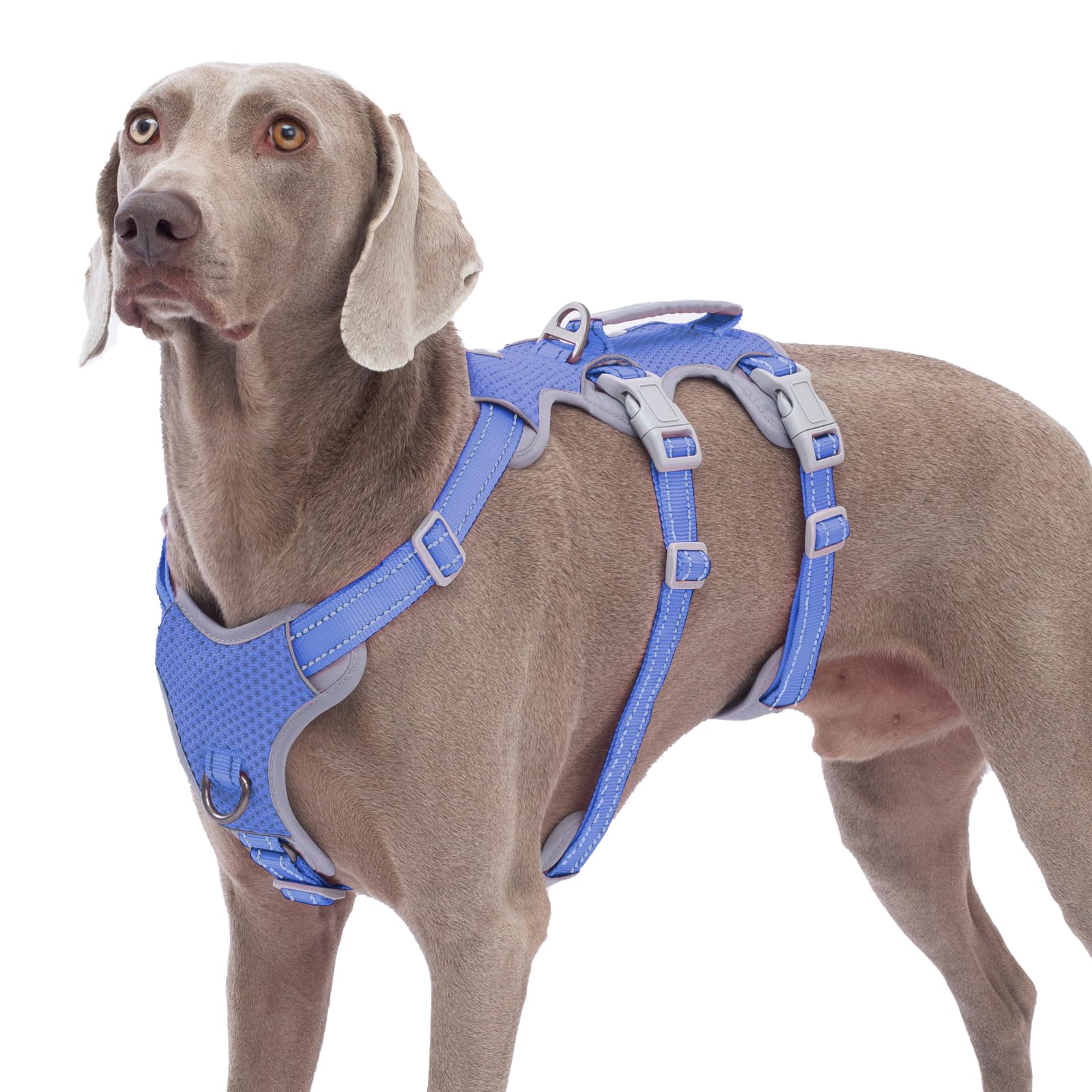 Huntboo Escape Proof Dog Harness, No Pull Reflective Harness With Lift Handle, Adjustable Pet Vest With Front And Back Leash Clips For Small Medium Large Dogs Walking Hiking Training (Vista Blue,L)
