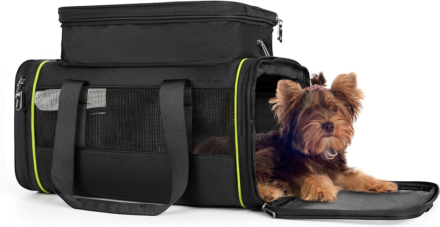 Daross Airline Approved Pet Carrier For Small Dogs & Cats | Soft-Sided Lightweight Collapsible Travel Carrier With Ventilation M