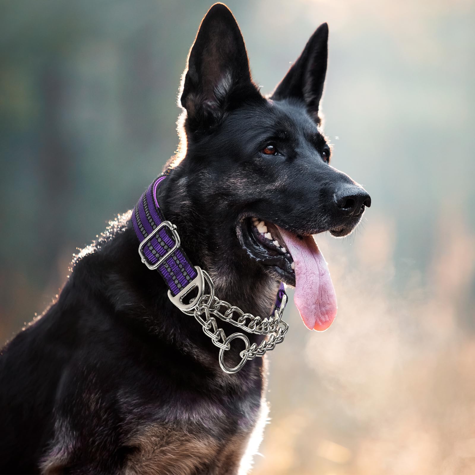 Reflective Martingale Dog Collar