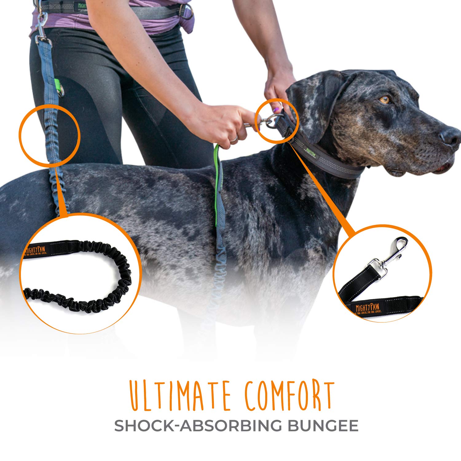 Mighty Paw Hands Free Dog Leash - Adjustable Hip Belt - Reflective Bungee System - Ideal For Training - Walking - Jogging - Hiki