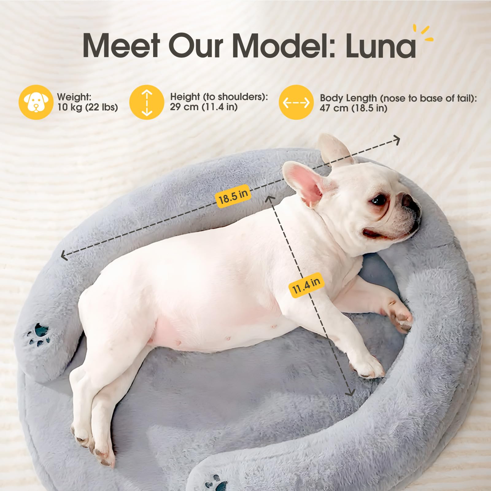 BurgeonNest Pet Soft CuddleNest Orthopedic Dog Bed Small Medium Size Dog, Waterproof Supportive Foam Cat Couch Bolster Pet Bed w