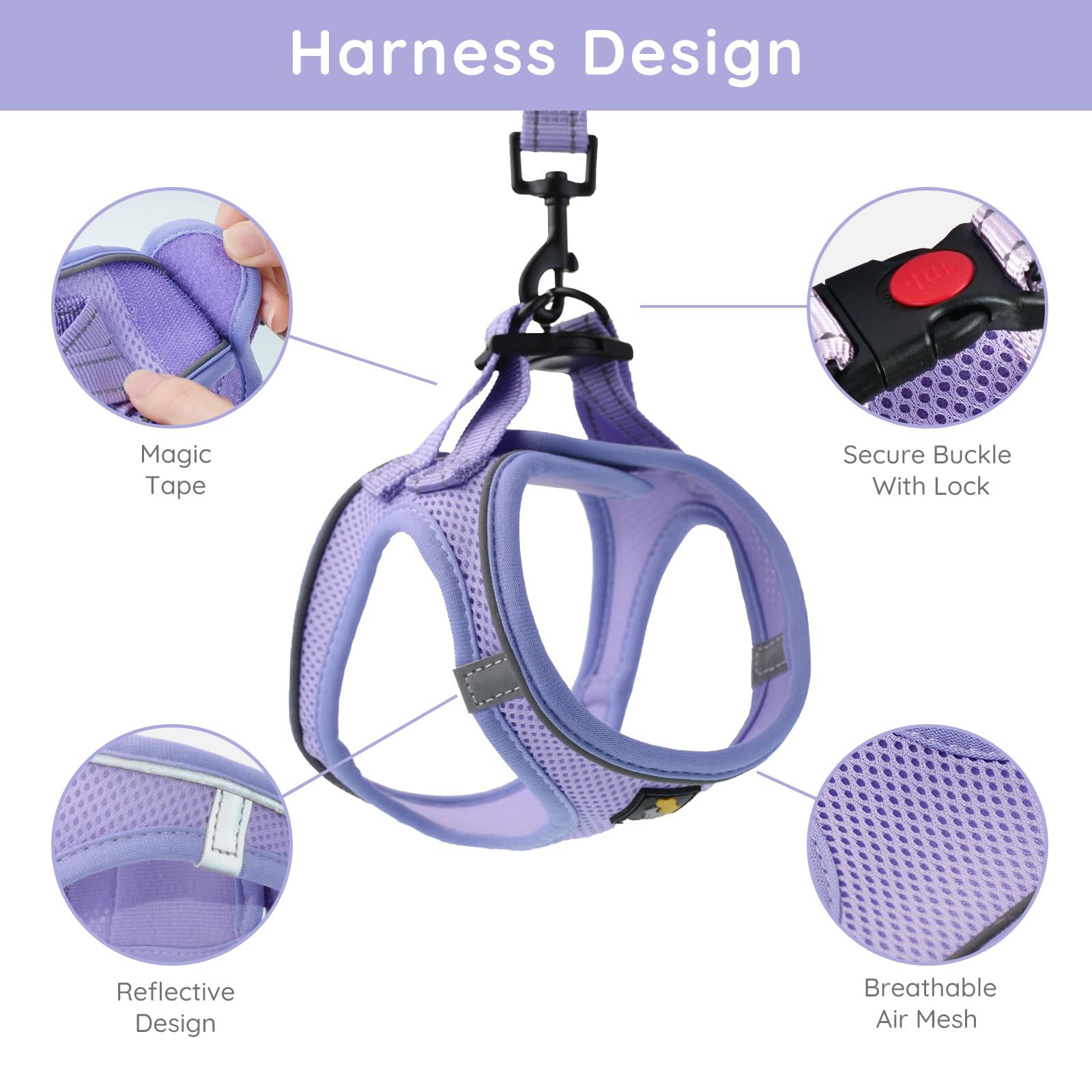 Bella & Pal Puppy Harness With Leash Set, Dog Harness For Small Dogs No Pull, Dog Leash For Small Dogs, Step In Harness For Extra Small Dogs, Purple Lavender Harness, S
