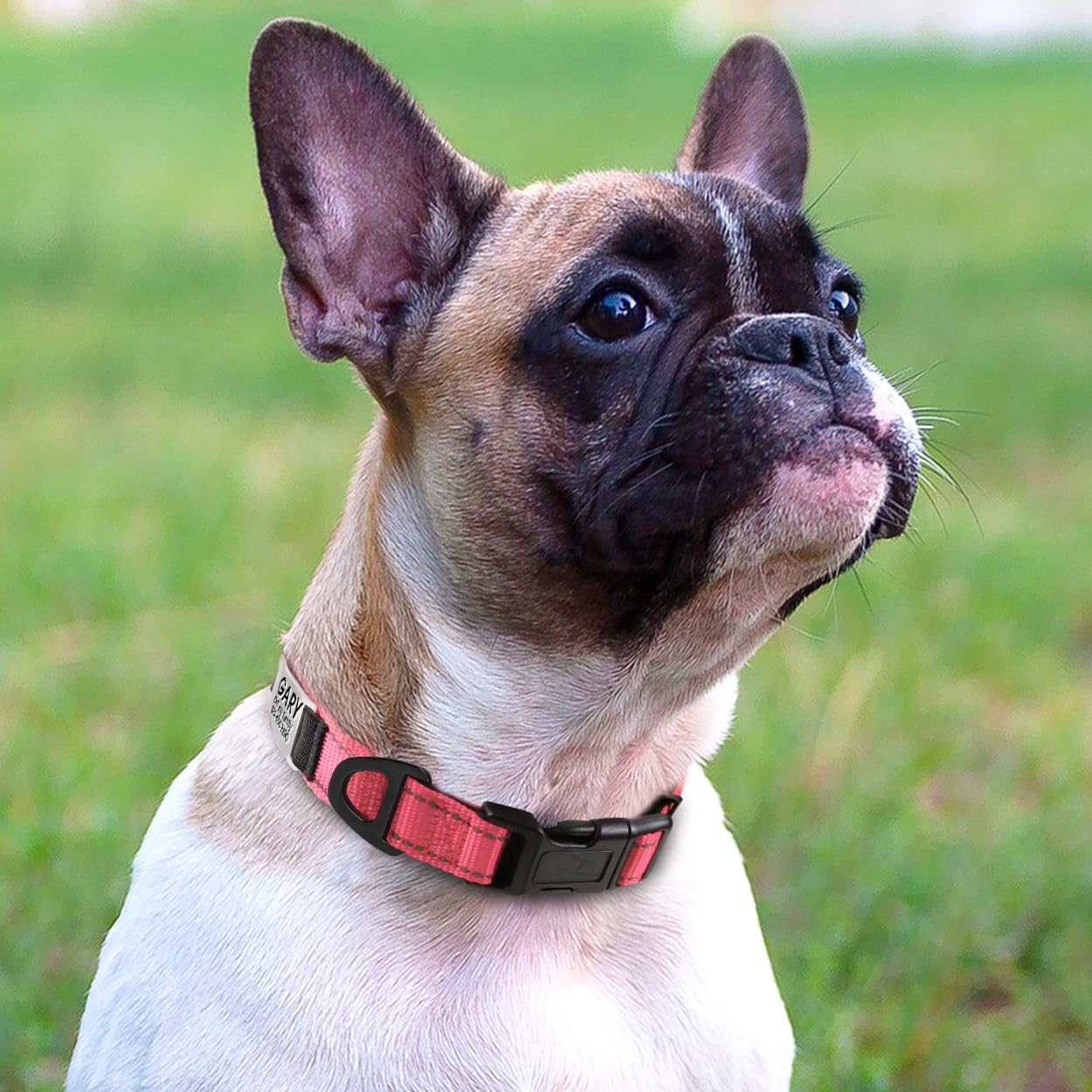 Joytale Personalized Dog Collars, Reflective Nylon Dog Collar With Engraved Name Plate, Customized For Puppy And Small Dogs, Pink, Xs