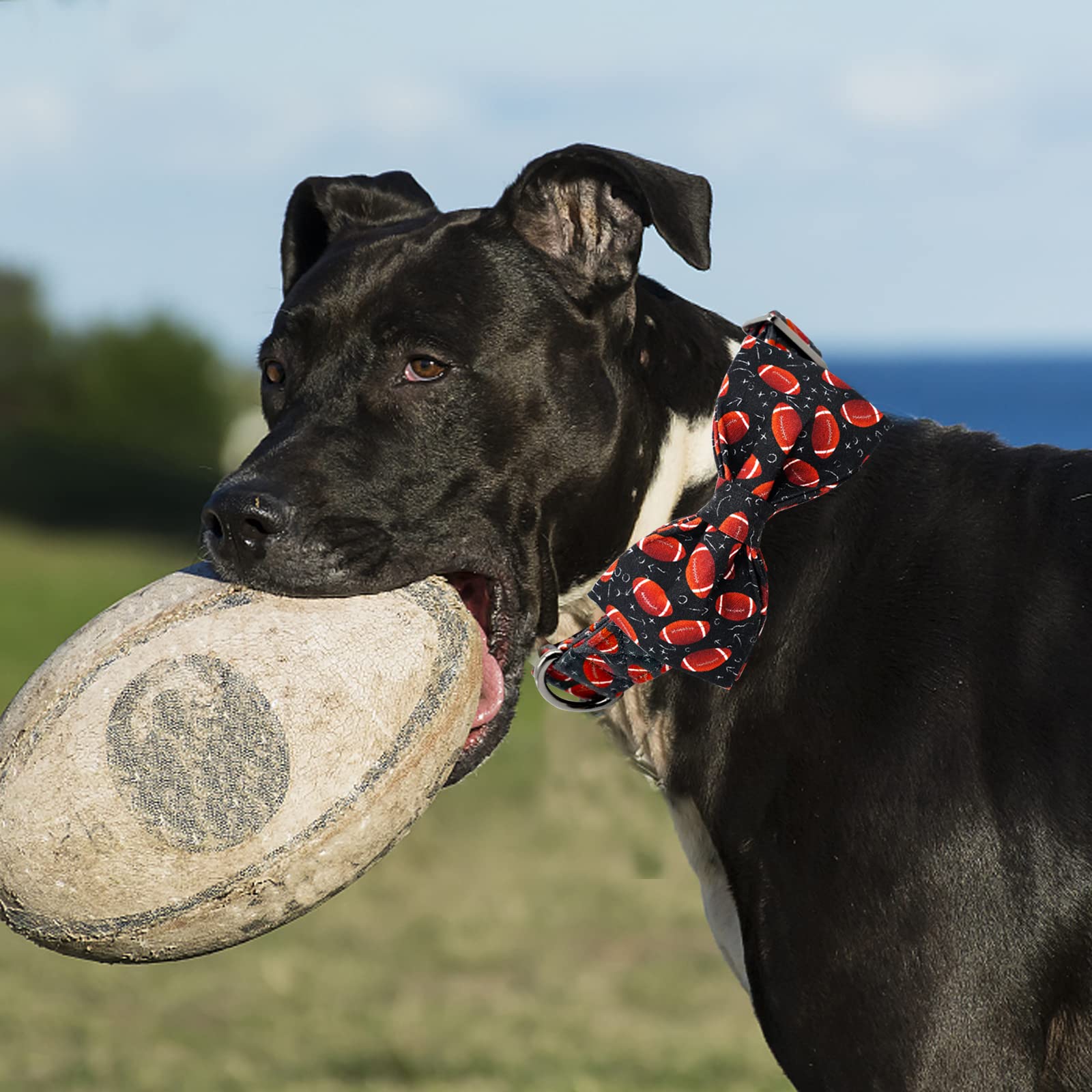 Lionheart Glory Dog Collar - Bowtie Collar For Large Dogs, Cotton Bow, Adjustable, Comfortable, Handmade