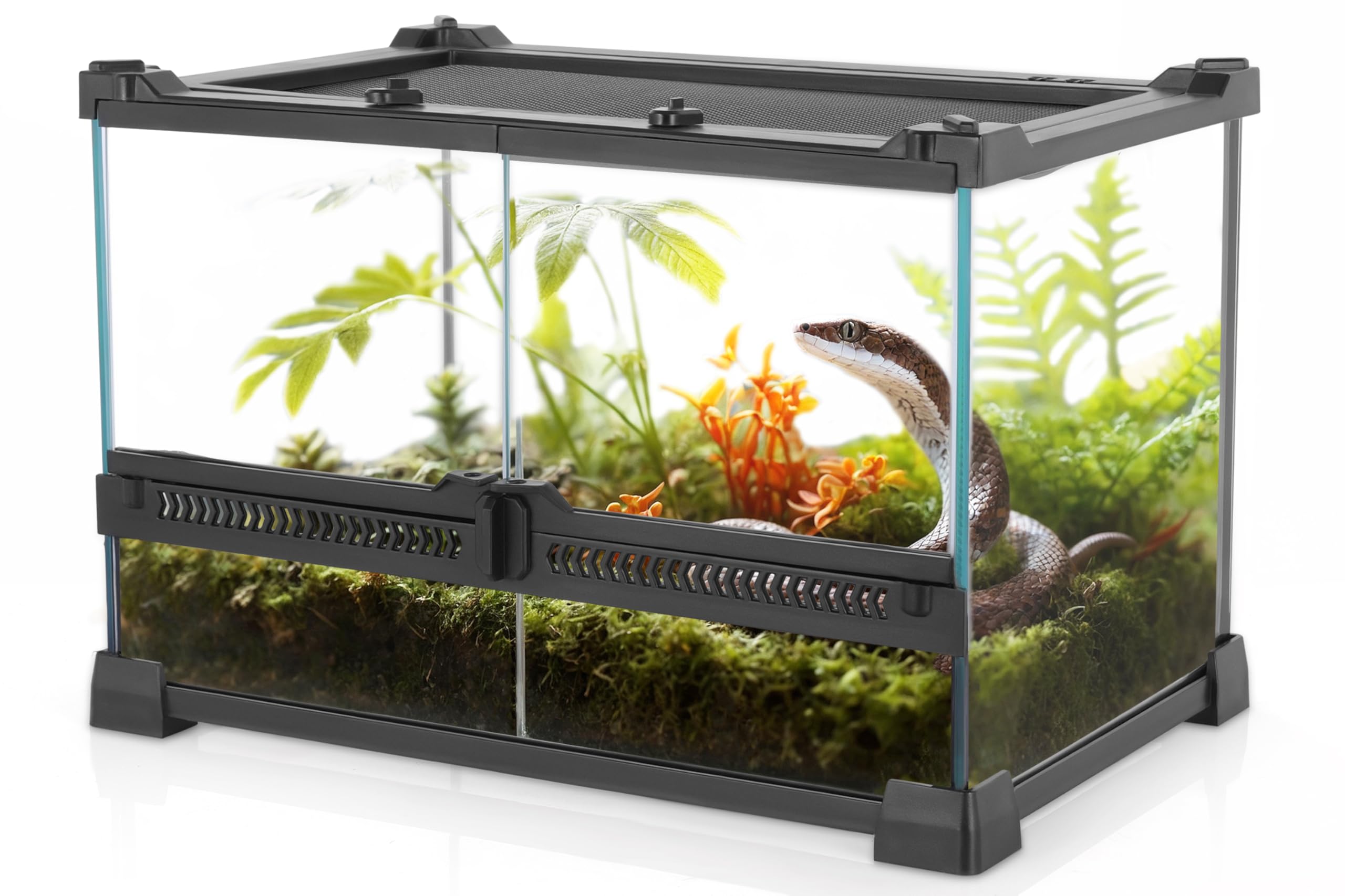 Neptonion Mini Reptile Glass Terrarium 12''X8''X8'' Durable Reptile Habitat Tank With Heat Resistant Aluminum Alloy Frame, Doubl