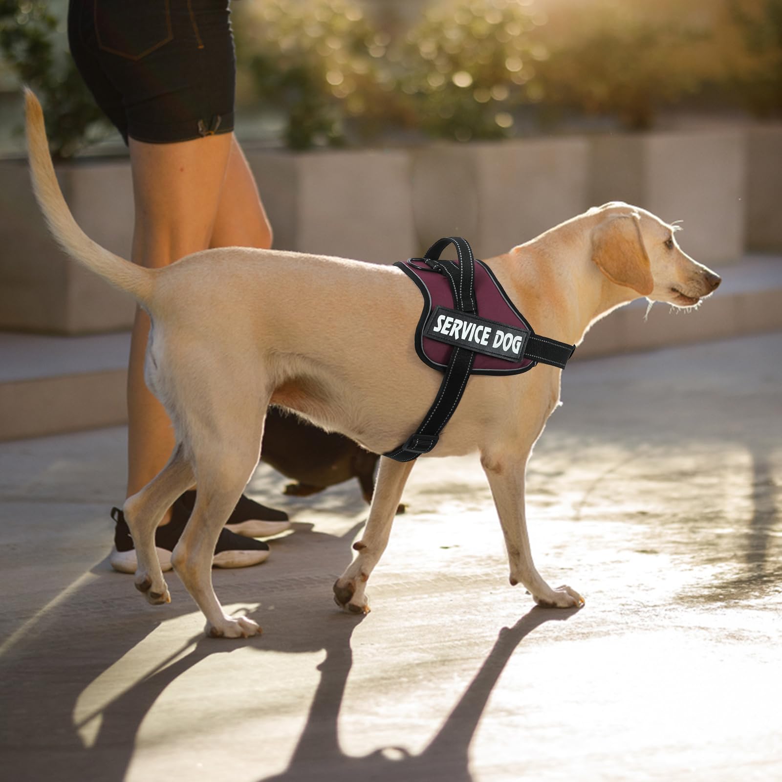 Voopet Emotional Support Dog Harness, Professional Service Dog Vest Harness For Small Medium Large Dogs, Reflective Breathable A