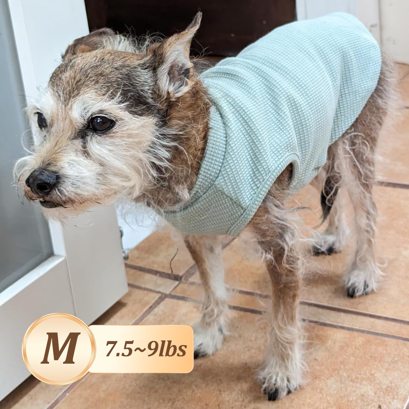 Kyeese 2Pack Dog Shirts Waffle For Small Dogs Stretchy T-Shirts Lightweight Tank Top Sleeveless Vest Breathable Cat Tee, Medium,