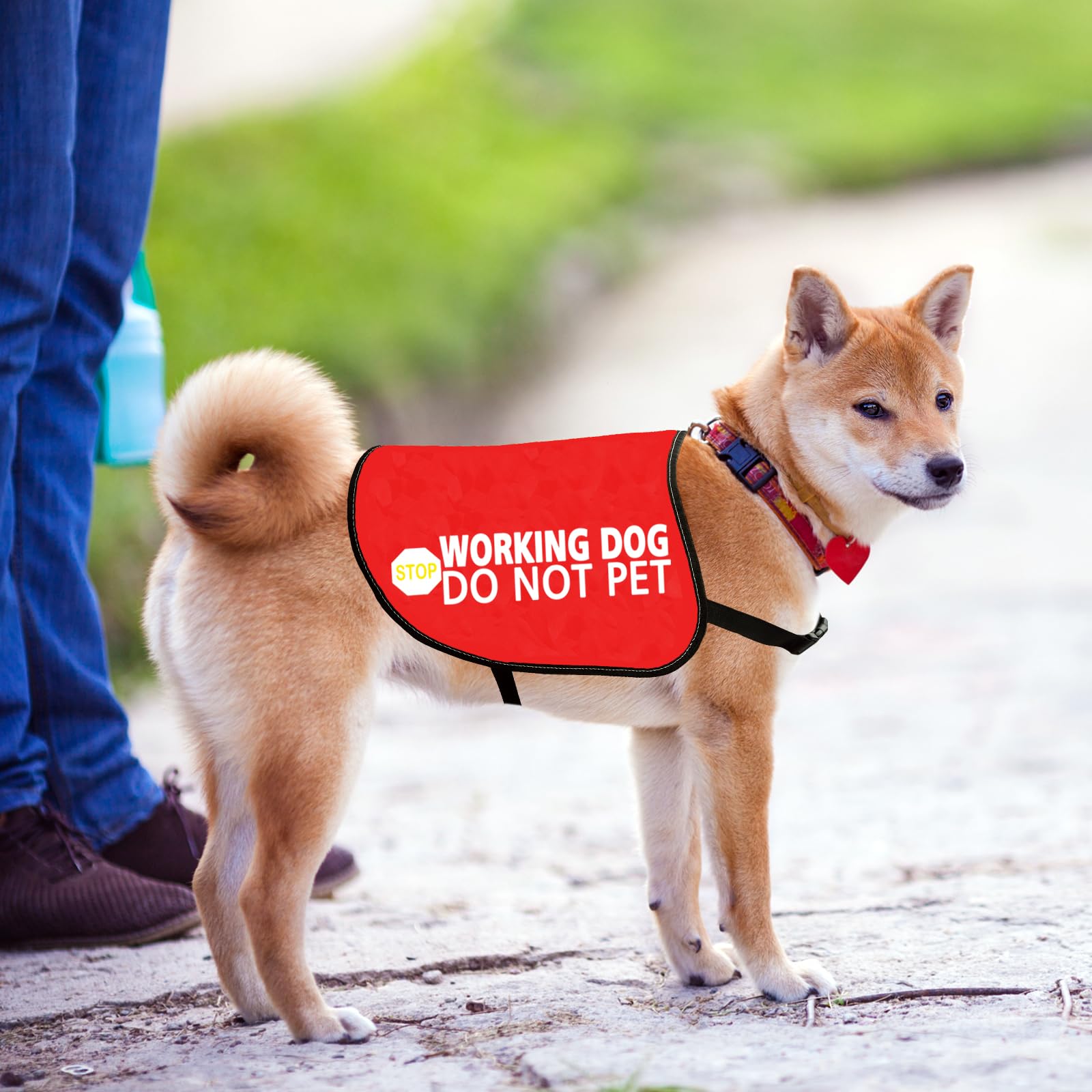 Jxgzso Nervous Dog Jacket Vest Service Dog Working Dog Do Not Pet Anxious Dogs Scared Dogs Slogan Warning Vest (Working Not Pet