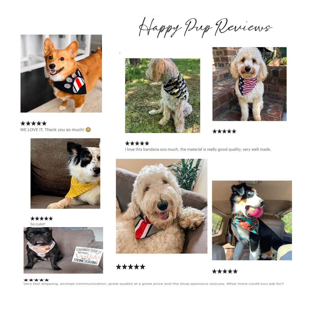 Pumpkins Over The Collar Dog Bandana That Slips Onto Their Existing Collar Size (X-Small)