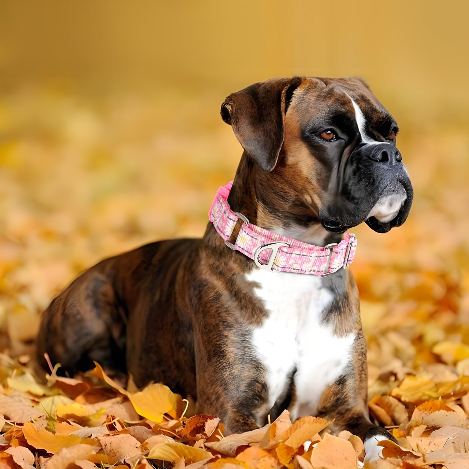 Onefojojo Pink Daisy Martingale Dog Collars For Dogs, Reflective Nylon Dog Collar With Buckle Adjustable Training, Walking, Hunt