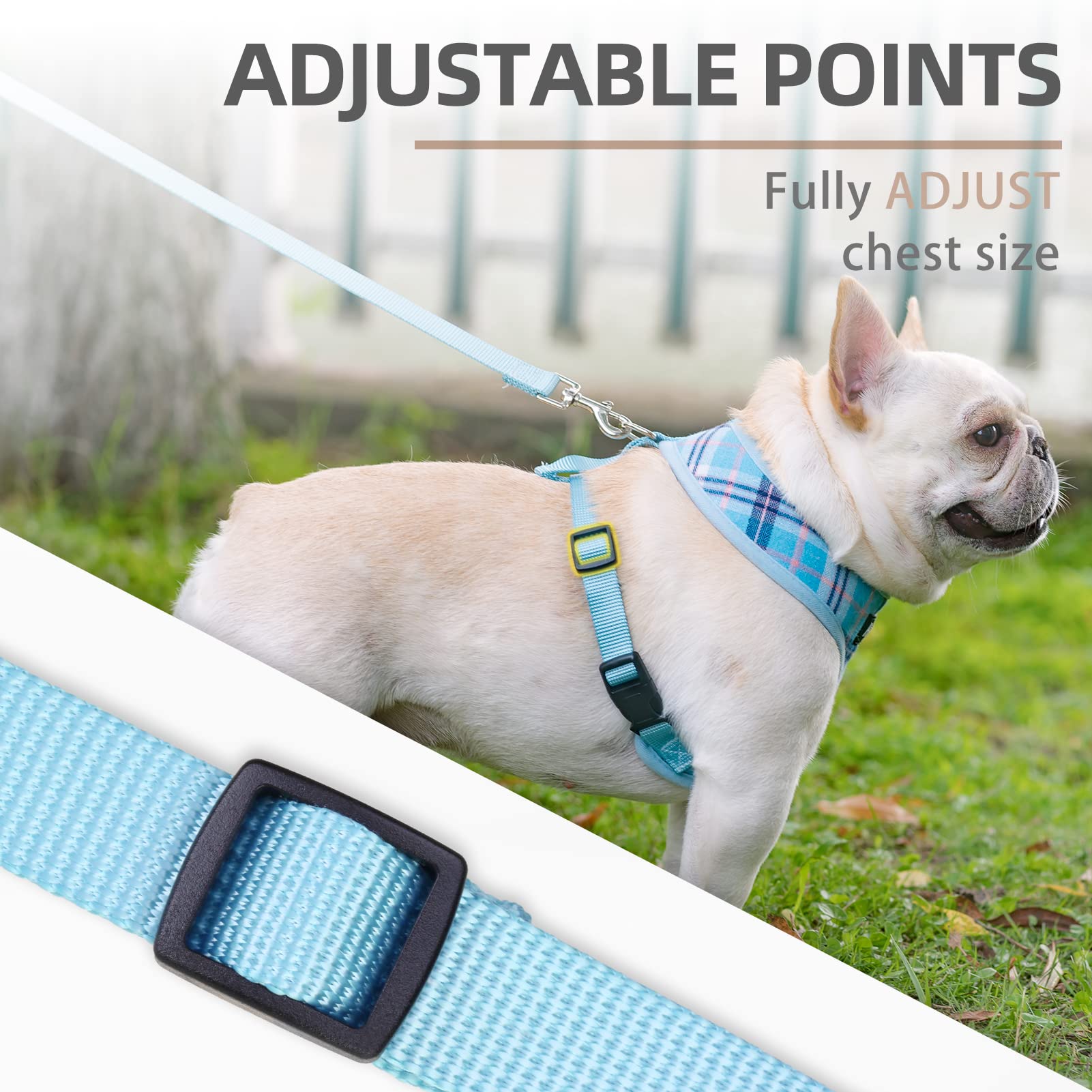 Pupteck Soft Mesh Dog Harness And Leash Set Pet Puppy Cat Comfort Padded Vest No Pull Harnesses, Light Blue, Xs