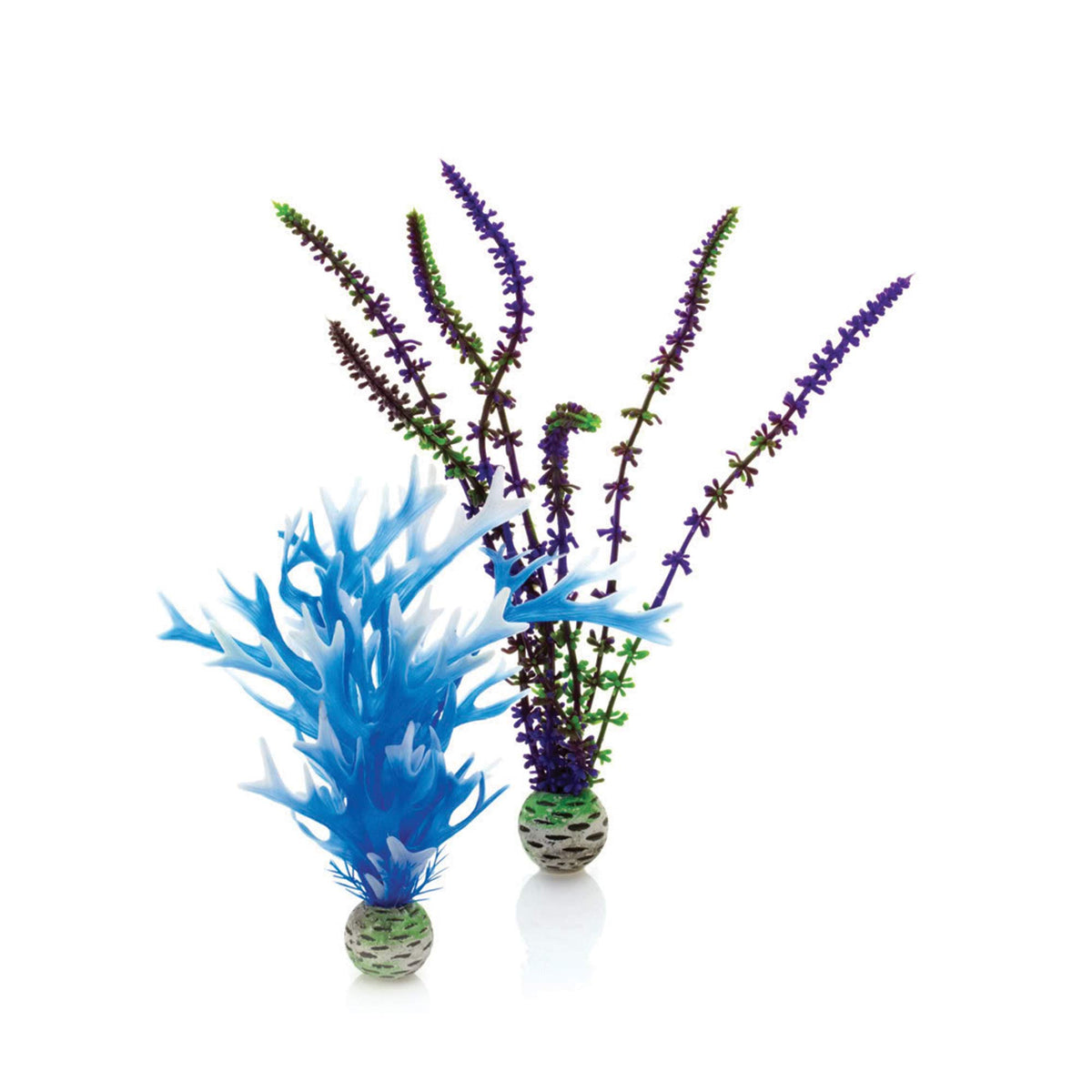 Biorb Blue/Purple Plant Pack